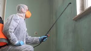 Best Emergency Mold Remediation  in Marshville, NC