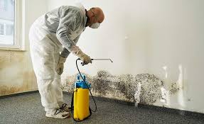 Best Water Damage & Mold Remediation  in Marshville, NC