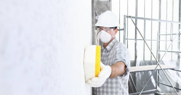 Best Mold Damage Restoration  in Marshville, NC