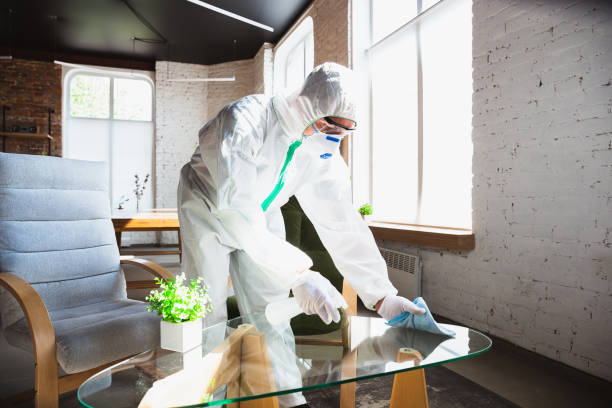 Best Mold Remediation for Healthcare Facilities  in Marshville, NC